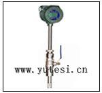 北京熱式氣體質量流量計
